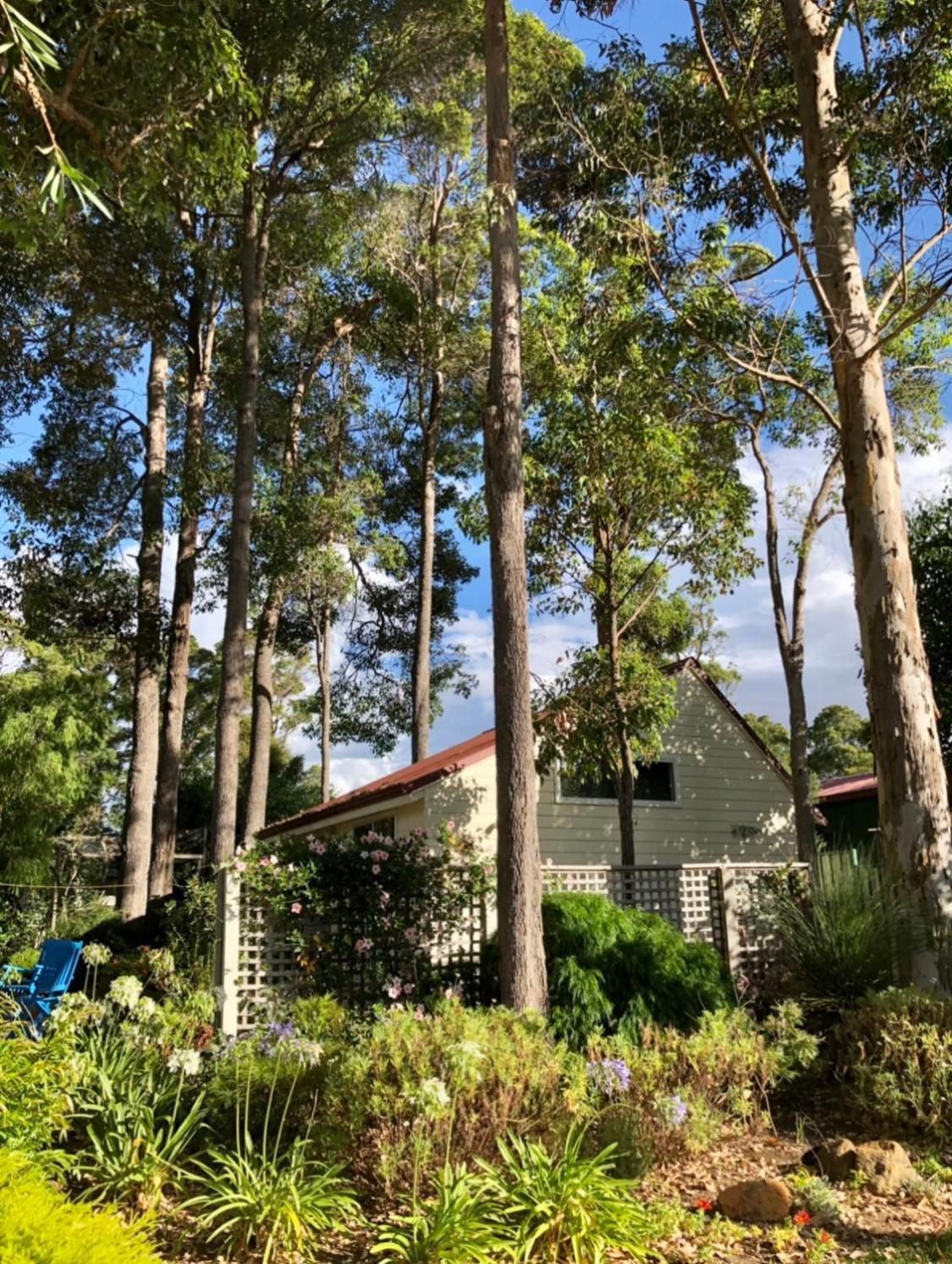 The Boulevard Garden Studio Apartment Margaret River Exterior photo